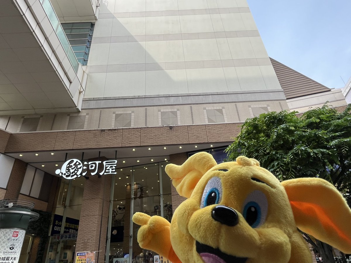 Yuuna049's tweet photo. さっそくここではパーモットぬいぐるみが爆売れするのかなぁ？🤔 https://t.co/wS9jonSglW