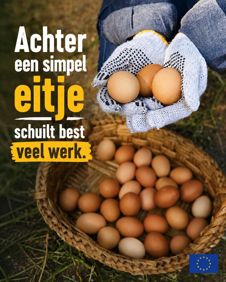 EUinNL's tweet photo. 🥚Achter een simpel eitje schuilt best veel werk. Gezonde dieren zijn belangrijk voor ons voedsel. EU-regels helpen al jaren dierziekten te voorkomen. Uit een nieuwe evaluatie blijkt dat die aanpak werkt. Zo blijven dieren &amp; ons voedsel beter beschermd.
🔗https://t.co/RyF3gyvZJp https://t.co/75hXKVYMrr