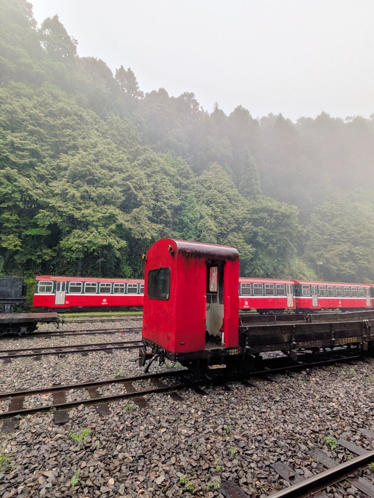 dragon11qq's tweet photo. 阿里山林業鉄道阿里山駅
近鉄北勢線みたいな貨車が気になります。
#ナローの日 https://t.co/vHZOpFu8dN