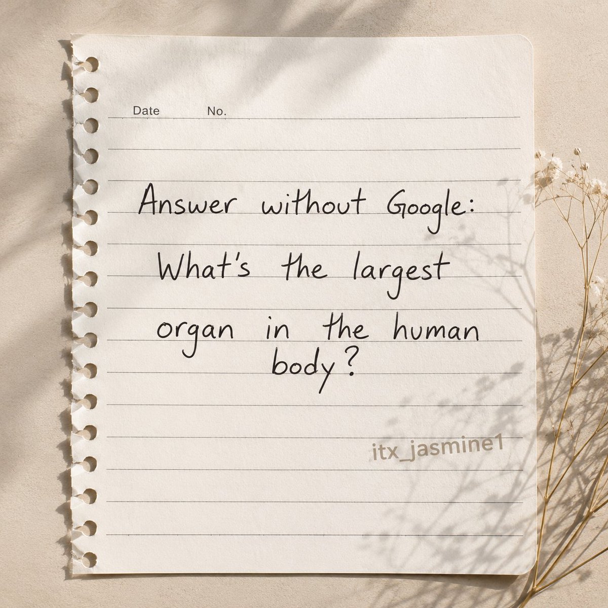 Itx_Sophie's tweet photo. Don't Google. Prove your IQ. 🧠🔥 https://t.co/fx3GY5EQ4T