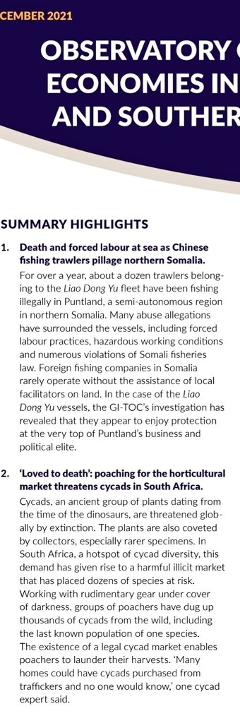maxamad_ibrahim's tweet photo. Q. Who Benefits from Puntland's Fishing Licences?

For years, Puntland's rich fishing grounds have generated significant revenue through licences granted to foreign fishing companies. Yet one question continues to haunt the administration of President Said Abdullahi Deni: why do many of Puntland's coastal districts and fishing communities remain among the least developed areas of the state?

Fishing licences have long been a source of controversy in Puntland due to lack of transparency and accountability in the licensing process. Successive administrations have inherited controversial agreements while issuing new licences of their own, creating a system that lacks effective oversight.

Concerns have intensified over licences reportedly granted to Chinese and Iranian fishing vessels operating in Puntland waters by Said Deni and his associates.

Reports from researchers and international organisations have highlighted allegations of irregular licensing practices, weak enforcement and illegal, unreported and unregulated (IUU) fishing that costs Somalia hundreds of millions of dollars annually with Puntland the accounting for the biggest loss.

An ENACT Observer investigation published in January 2025 alleged that some Chinese vessels obtained Puntland fishing licences through questionable means and pointed to broader concerns about political influence in fisheries governance. 

The report also noted that corruption, poor implementation of regulations and collusion between officials and foreign fishing companies continue to undermine Somalia's fisheries sector.

If foreign companies are paying substantial licence fees, where is that money going? Why have fishing ports, cold-storage facilities, roads and basic services in coastal communities failed to keep pace with the revenues generated from Puntland's marine resources? 

And what safeguards exist to ensure that foreign trawlers operate within the law and do not deplete fish stocks relied upon by local fishermen?