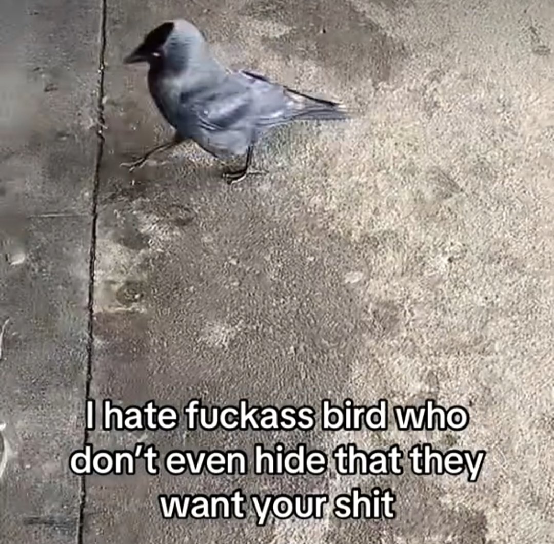 lucknoodle74302's tweet photo. https://t.co/TwjsJaZnBt