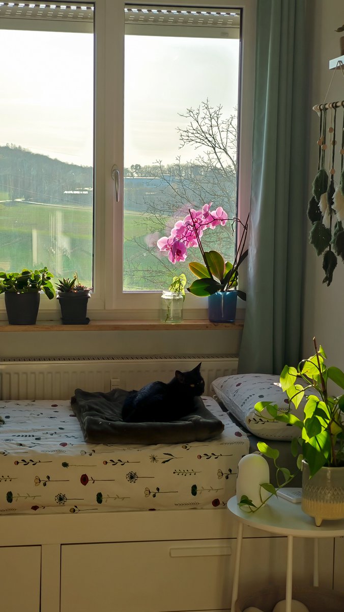 vitaminho's tweet photo. di tutta casa nostra, io e il mio ragazzo abbiamo due studi separati (adibiti anche a camere ospiti)
questo è il mio studietto che amo tanto https://t.co/jISATZO43u