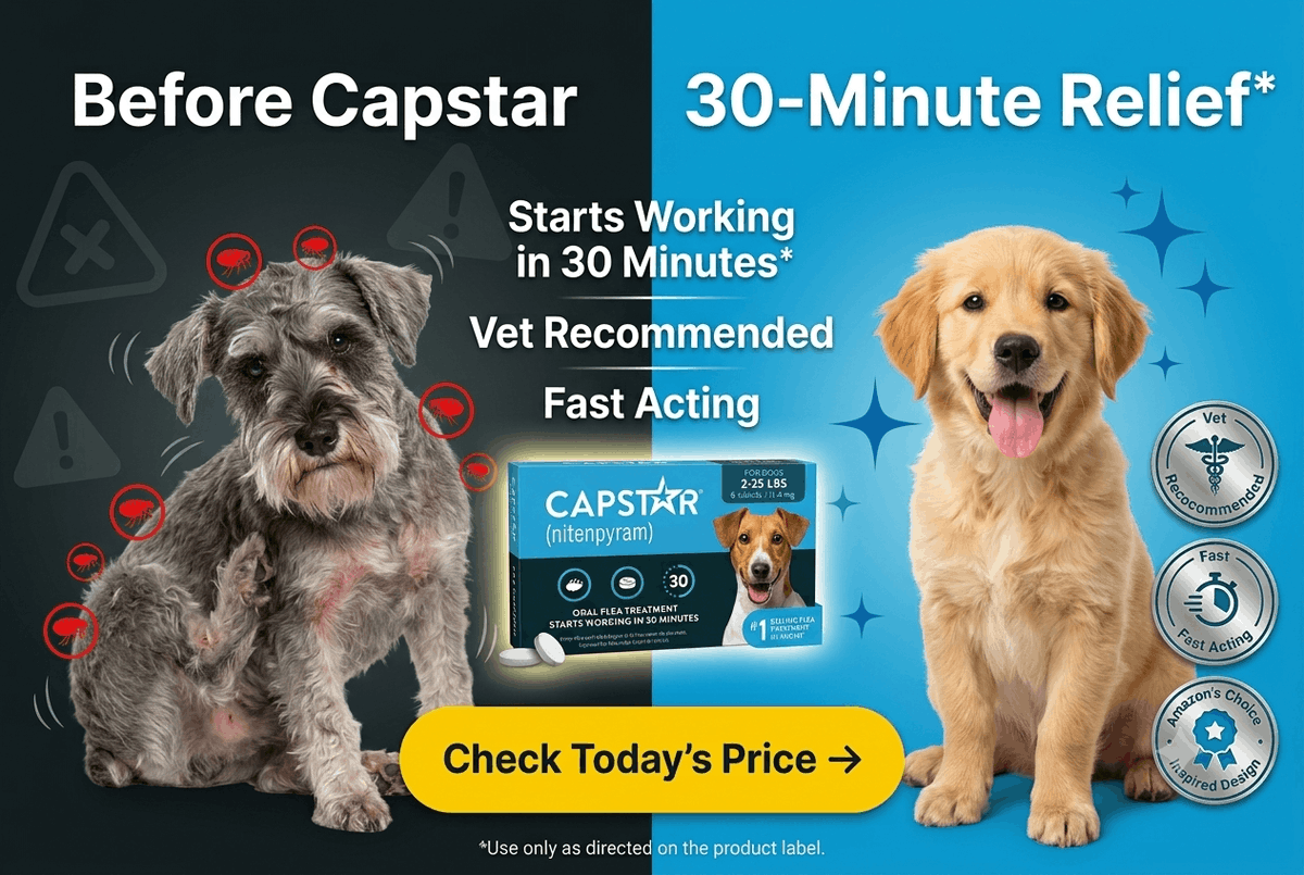 Deals4AllShop's tweet photo. 🐶🐾 Is your dog constantly scratching? Fleas don't have to ruin their day!
Capstar starts killing adult fleas in as little as 30 minutes, helping your pup get quick relief when it matters most.
👉 Grab yours here:
🔗 https://t.co/0HLskZOmly
#Dogs #DogCare #PetParents #FleaTreatment #PetHealth #DogLovers #AmazonFinds #PetSupplies #Capstar
Amazon Affiliate Disclosure: As an Amazon Associate, I earn from qualifying purchases at no additional cost to you