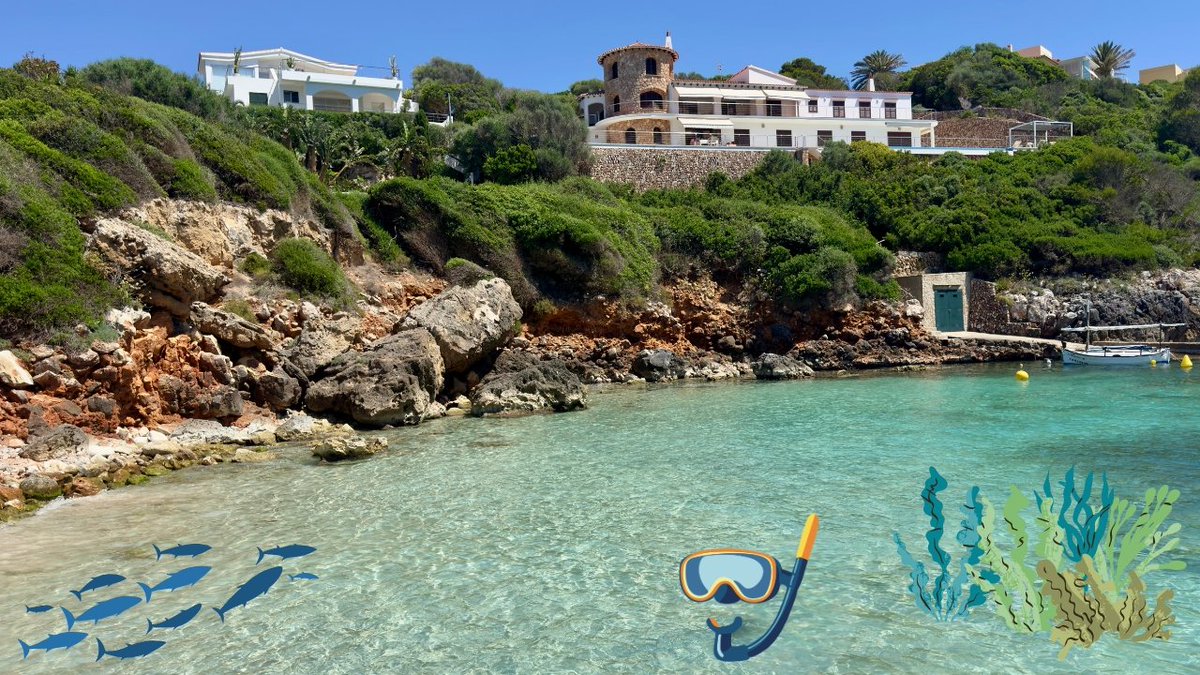 OurAdventures2's tweet photo. β°π· NEW VIDEO NOW LIVE π·β°
https://t.co/xYGwo5oUCc
@easyJet
#Menorca | #Snorkelling https://t.co/Uznts6tuV2