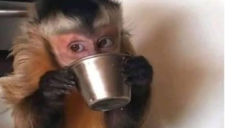 UnaTalPadawan's tweet photo. Yo viendo a toda esta gente escandalizada por el juego de Paraguay. No están preparados para lo que puede pasar si Argentina y Colombia llegan a pasar a cuartos. https://t.co/BnVvDsF0Se