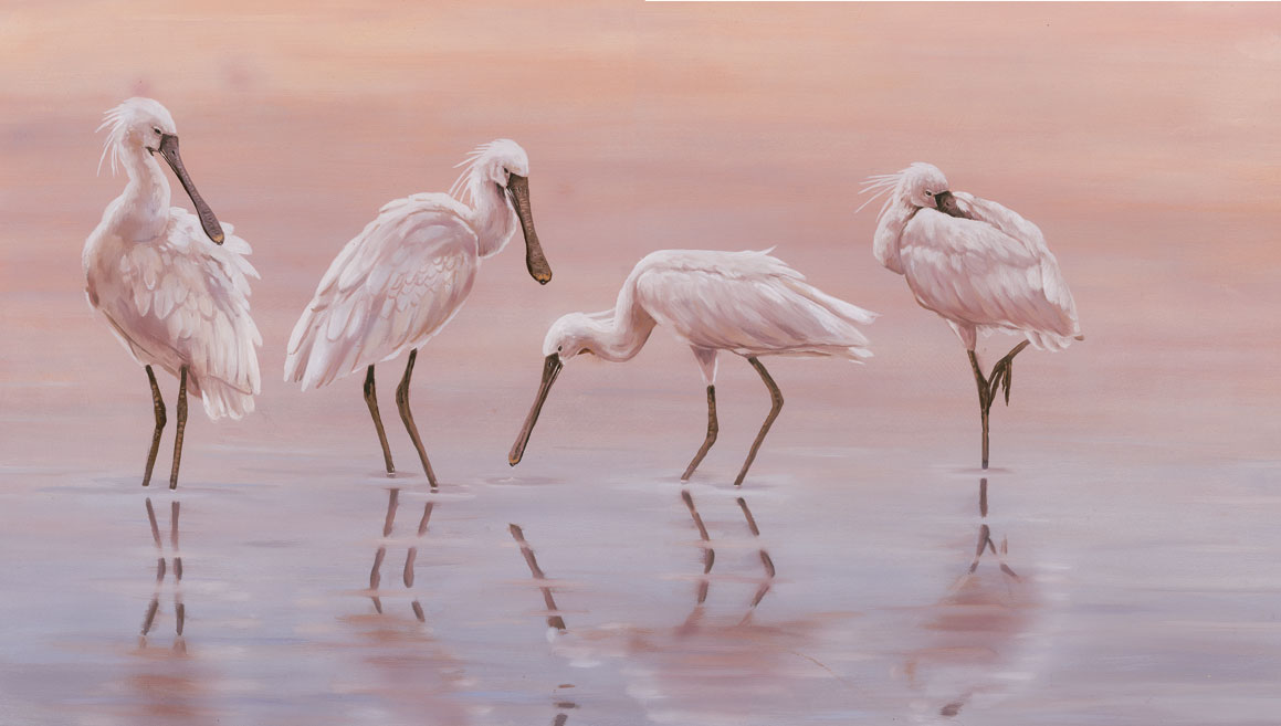 RobertEFuller's tweet photo. Spoonbills | Limited Edition Print | 44 x 25cm
#art #birding https://t.co/OZV6Gbx0Fk