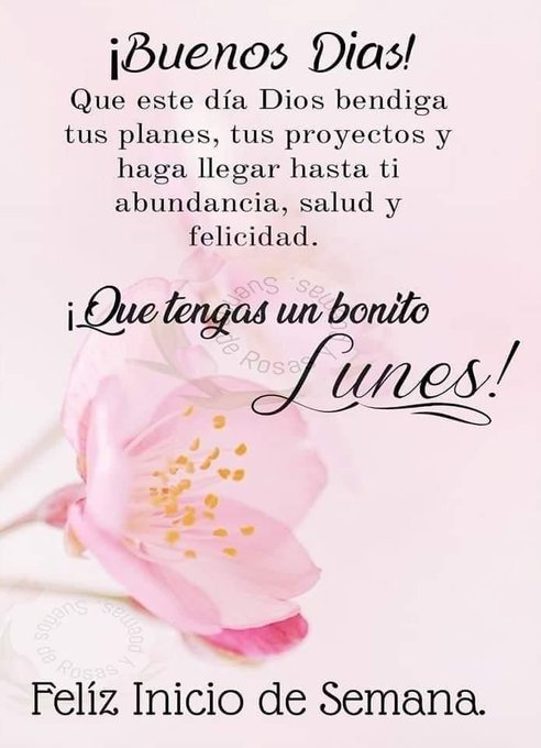JavierMuozPrez2's tweet photo. @Paula48079240 Excelente día y semana Pauliz. https://t.co/6BLwspESm3