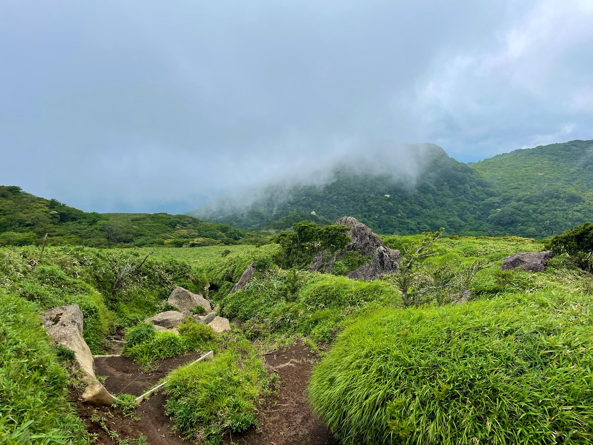 19903638A's tweet photo. 新しい登山靴の慣らしがしたく、箱根の神山〜駒ヶ岳に。ちなみに霧で何も見えぬ虚無登頂🤦‍♀️

新しい靴はALTRAのオリンパス6
トレランシューズだけど、重度の外反母趾ゆえ毎回下山で左足壊死状態なのが辛すぎて…。今回は全足指は無痛だったものの、3時間ぐらいで右足の踵とサイドに痛みが💦しかし軽い！ https://t.co/Eenn9xY1Ko