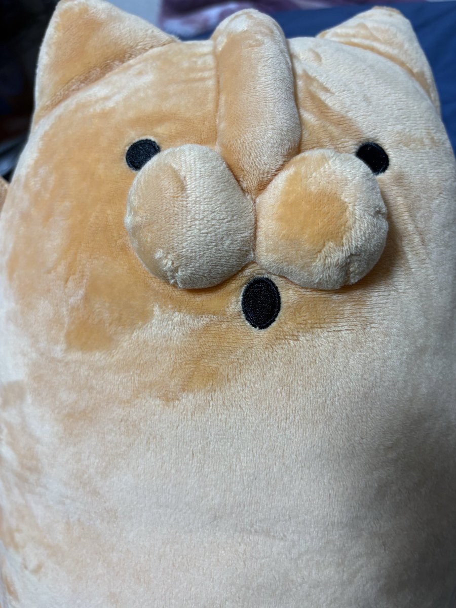 punya1217's tweet photo. 最近ゲーセンでゲットした
はにゃわ可愛い🩷 https://t.co/bCTNtUEEPU