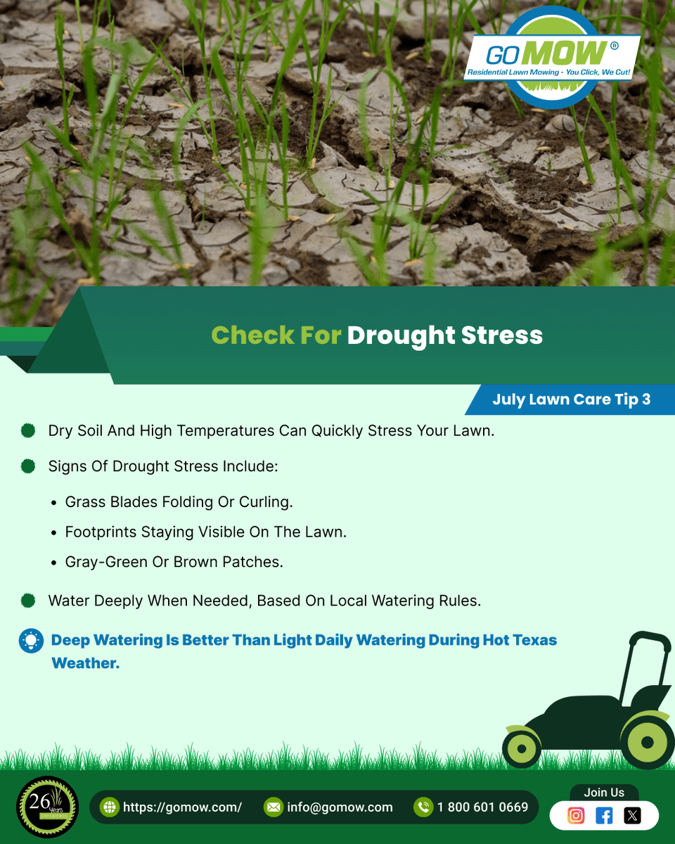 GoMowOfficial's tweet photo. July Lawn Care Tip 3: Check for Drought Stress
👉 Dry soil and high temperatures can quickly stress your lawn.
👉 Signs of drought stress include:
👉 Grass blades folding or curling.
👉 Footprints staying visible on the lawn.
👉 Gray-green or brown patches.
#GoMow #LanwMowing https://t.co/6W4ZFEdmMv
