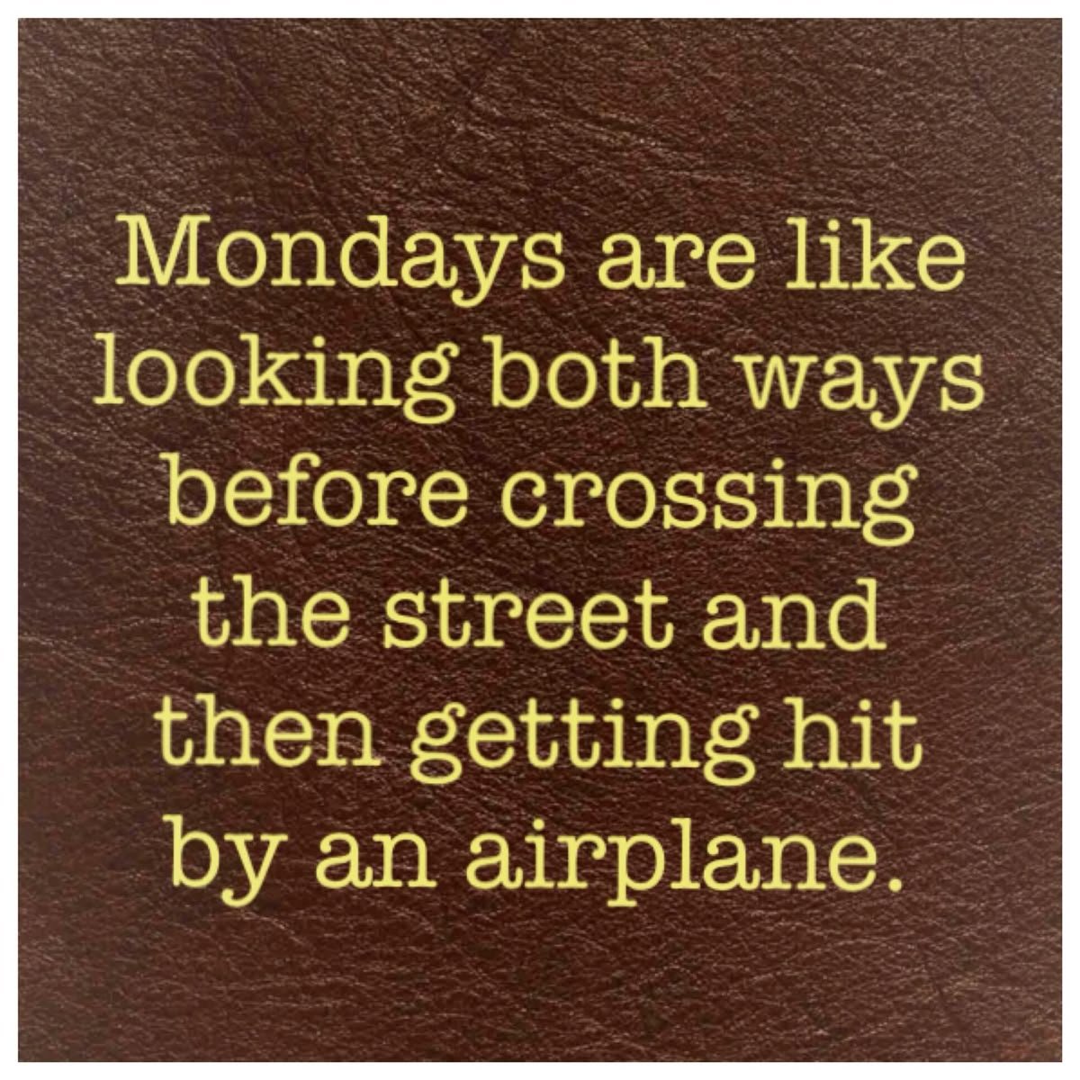 AlbertaGirl34's tweet photo. This morning for sure !!!!!!!!!!!!!! https://t.co/7Ax3shJJVs