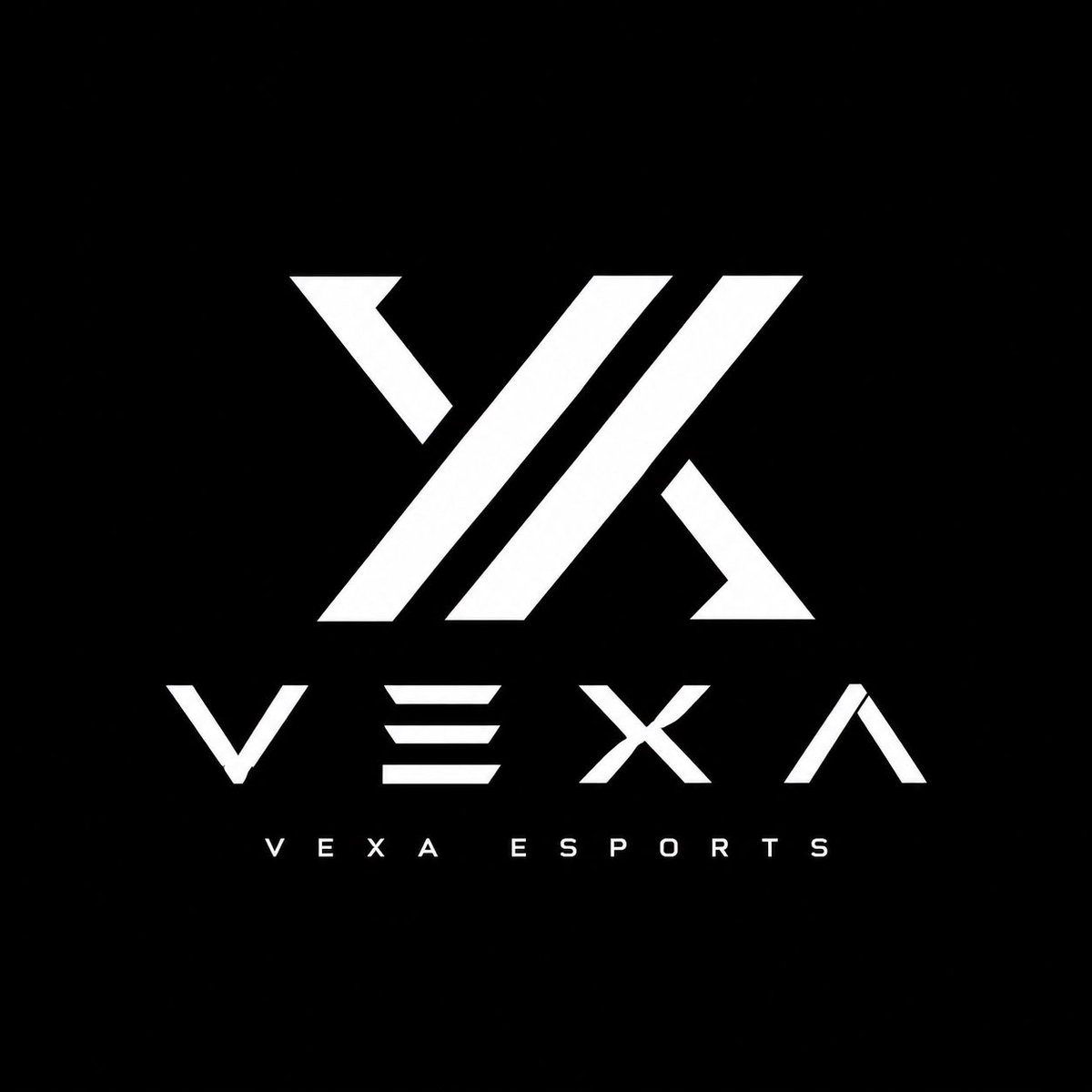 VEXAesports2026's tweet photo. VEXA e - sports  1期生募集

・育成部門 
・競技部門
・ストリーマー部門
・スポンサー様

【応募方法】
このアカウントをフォロー この投稿をいいね、リプライ
24時間対応可能‼️
#フォートナイト 
#クランメンバー募集 
#メンバー募集
#チーム勧誘 #LFT 
#VEXAWin #報酬制度 https://t.co/My4ISOAb6P