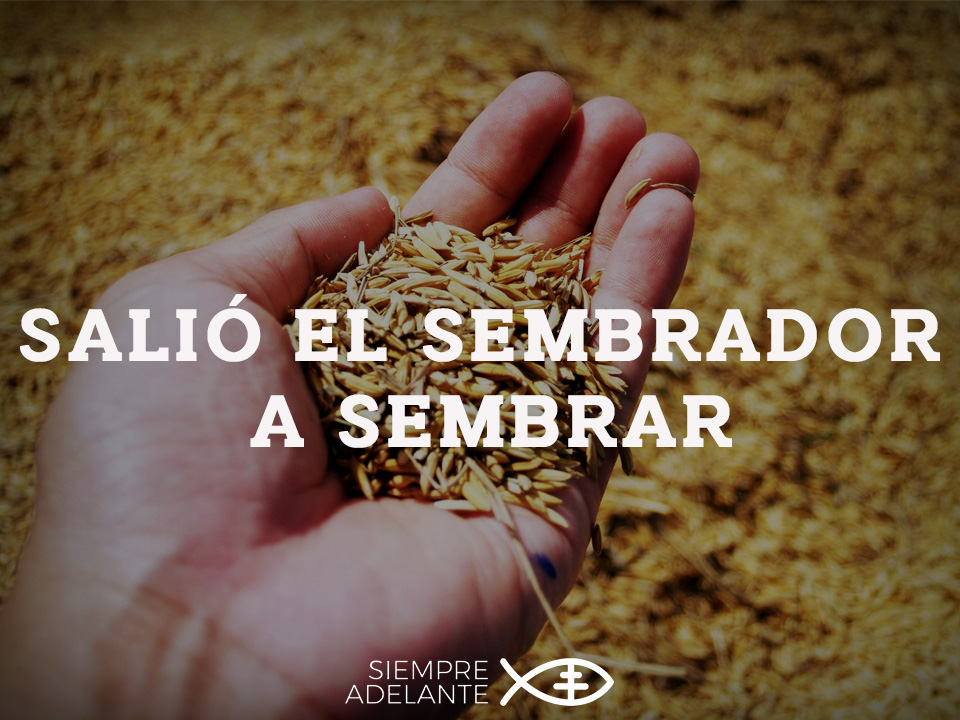 Archisevilla1's tweet photo. #EvangelioDelDía| Mt 13, 1-23. Salió el sembrador a sembrar. https://t.co/kXgjY7Ls6G

#PalabraViva #SiempreAdelante https://t.co/novWZo4QNT