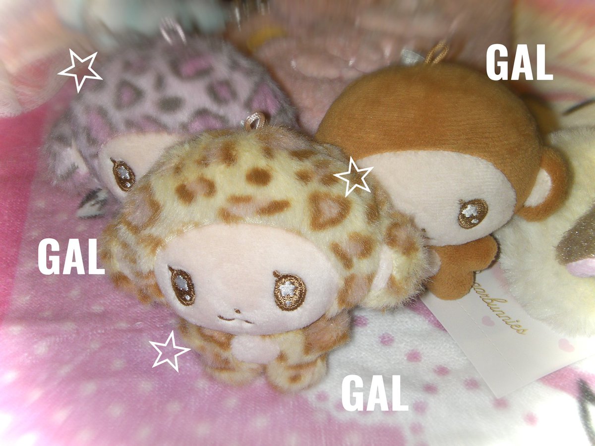 rungxingxi's tweet photo. ⋰˚✩ ̊₊⋰˚✩ *･⋰˚✩ ̊₊⋰˚✩ 

룽싱이 ɢᴀʟ☆ᴠᴇʀ. sᴀᴍᴘʟᴇ

⋰˚✩ ̊₊⋰˚✩ *･⋰˚✩ ̊₊⋰˚✩ https://t.co/cLULXiReuZ