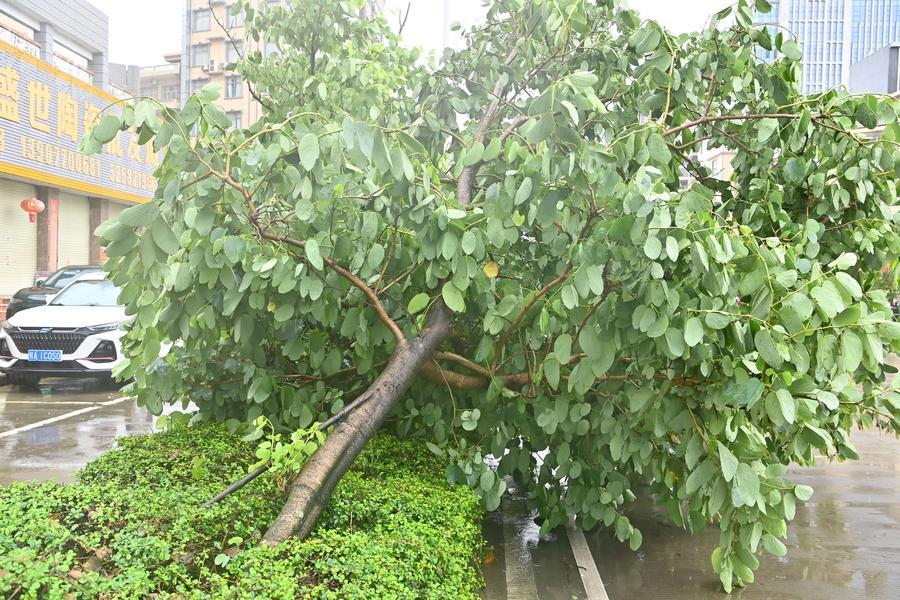 XHTurkey's tweet photo. Albüm: Maysak Tayfunu Çin'in Guangxi Zhuang Özerk Bölgesi'ni vurdu https://t.co/3NbbZoUJlB https://t.co/3EV9c3NtJF