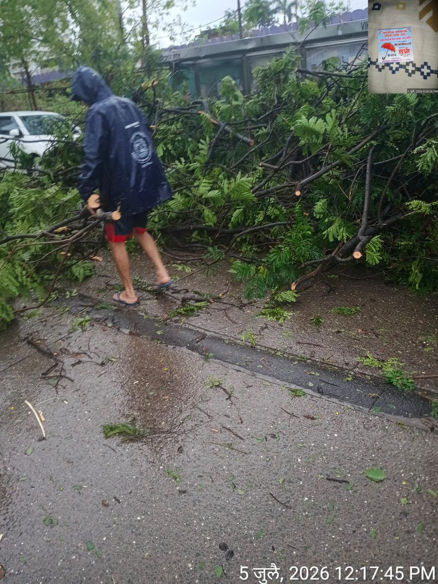 riteshkarkera's tweet photo. Every tree lost is a loss to Mumbai's green cover. Fallen trees that can be saved should be scientifically replanted, not discarded. The Maharashtra (Urban Areas) Protection & Preservation of Trees Act, 1975 aims to protect and preserve urban trees. Let's restore, not replace, wherever possible. 🌳
@mybmc #SaveTrees #MumbaiMonsoon #GreenMumbai 
@CMOMaharashtra @mybmc  @ritu @mybmcInfra @mybmcWardS @mybmcWardN @mybmcWardL @mybmcWardT