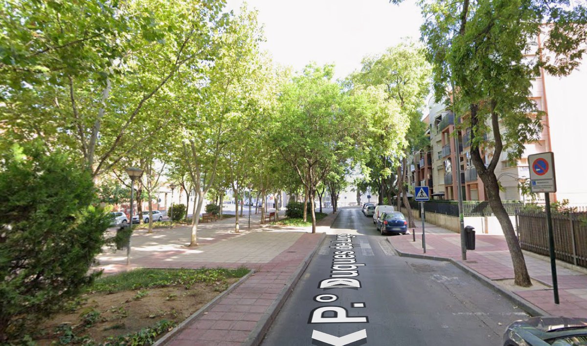 Observa07367412's tweet photo. @murcia_lab Hay pocas ciudades del Levante y del sur que tengan tanto arbolado en sus calles como Murcia, que está llena de moreras y otros árboles en la inmensa mayoría de sus calles y plazas. https://t.co/Fq2qL4jame