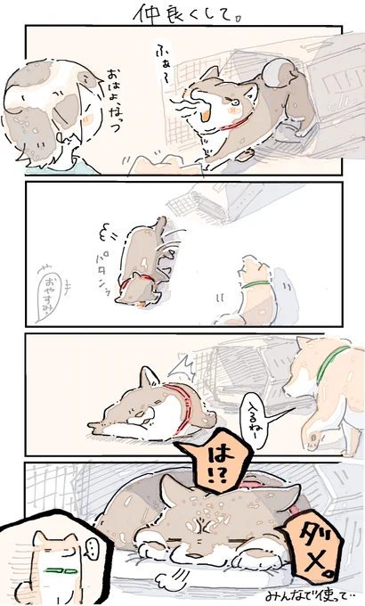 仲良くして。 