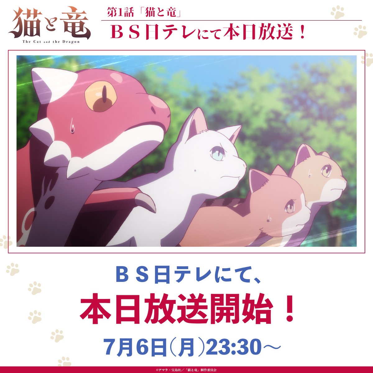 NekoRyuu_PR's tweet photo. ◤ＢＳ日テレにて本日放送◢

第1話「猫と竜」
ＢＳ日テレにて
本日このあと放送開始！🐈

TVアニメ『#猫と竜』第1話
📺ＢＳ日テレ：7/6(月)23:30〜
📺読売テレビ：7/7(火)25:29〜
📺AT-X：7/9(木)23:30〜
📺長崎文化放送：7/8(水)25:20〜

💻地上波1週間先行・最速配信中
dアニメストア、ABEMA https://t.co/9ZjCHkSUng