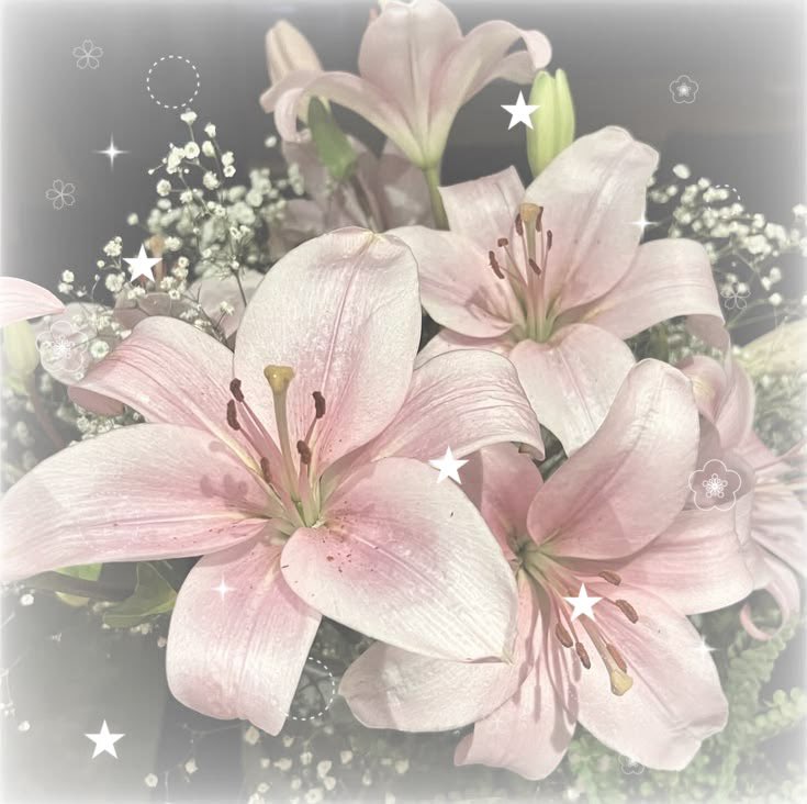 kaylasroses's tweet photo. summer lock in accountability thread ! 𝜗𝜚 ࣪ https://t.co/ofI512Cyn0