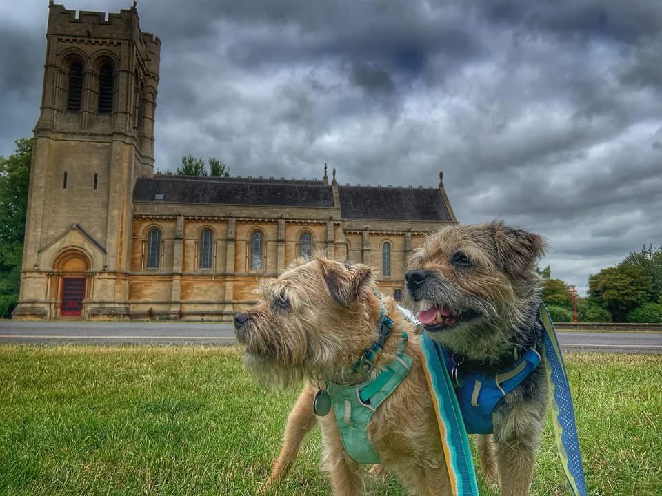ScrappyN's tweet photo. Morning pals, itβs my first #MemoryMonday since me ousting my old lady from the job so letβs start the week with a bang in 3-2-1 LETS GO! π #ScrappyNelson π #btposse #dogsofX #MondayMotivation
Hereβs some me and Maggot memories too from on this day - double bubble π Laters! https://t.co/KRT60qZX9x
