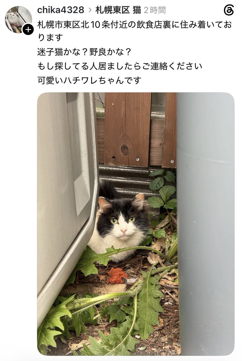Apple20130506's tweet photo. https://t.co/4A8GJeojSp https://t.co/FAbQA9kbgo
