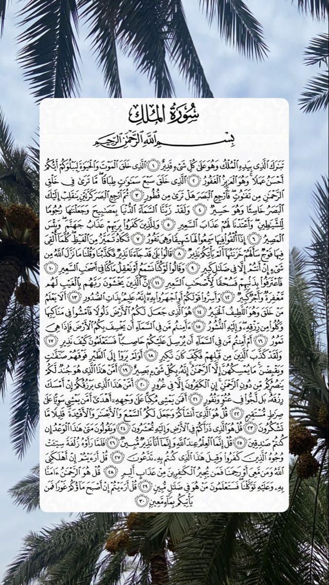 Noodeee55's tweet photo. #دعوه_لسعود_العتيبي 
لله ماأخذ، ولله ماأعطى، وكل شي عنده بمقدار..
اللهم ارحمه واغفرله وثبته عند السؤال واجعل قبره روضة من رياض الجنة وأبدله داراً خيراً من داره، وأهلاً خيراً من أهله، وارحم موتانا وموتى المسلمين أجمعين يارب العالمين 🤲❤️ https://t.co/x2QX3p879U