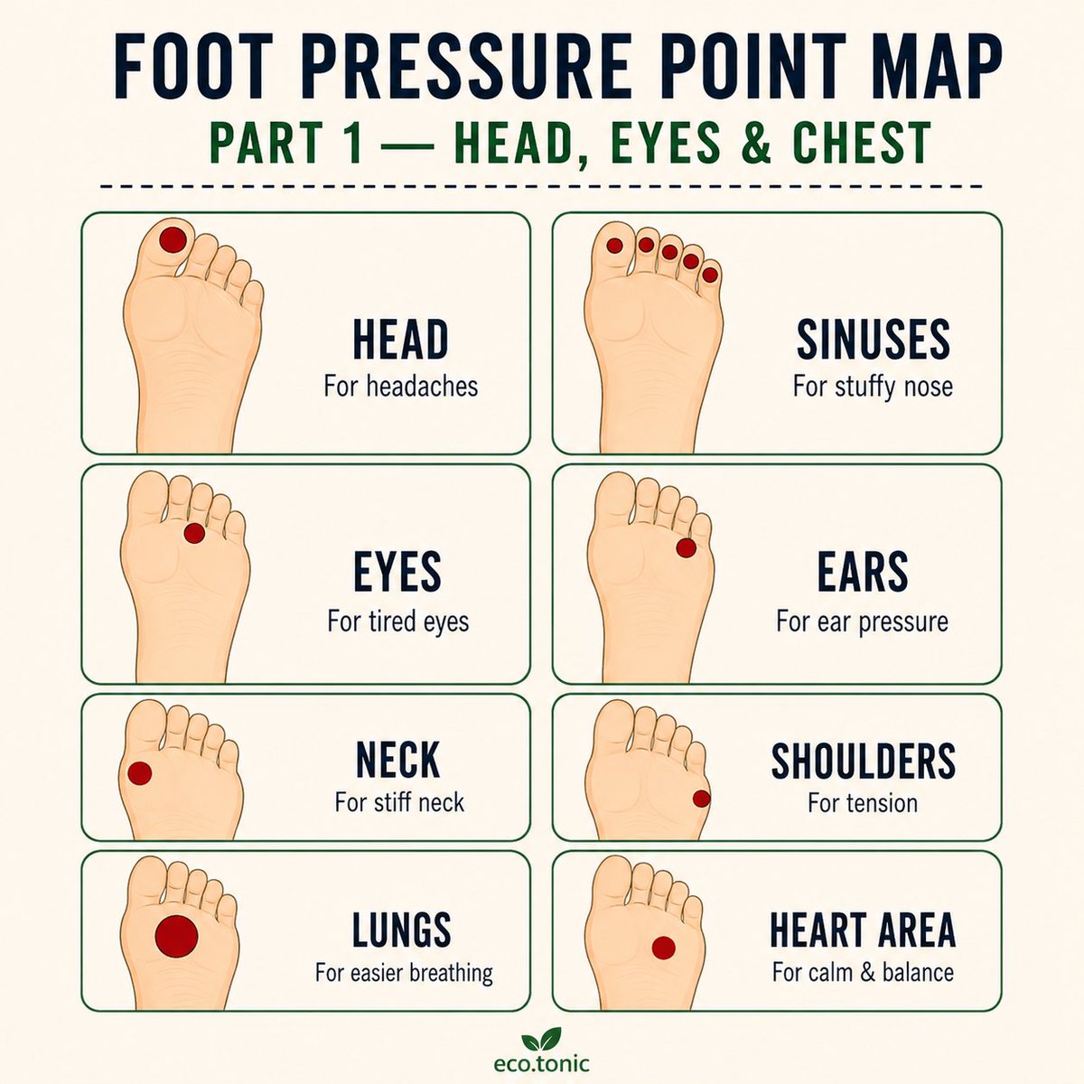 yogafitness3264's tweet photo. Foot Pressure Point Map | Natural Reflexology Guide for Full Body Wellness
Discover key foot pressure points that may help promote relaxation and overall wellness.
#Reflexology #FootMassage #PressurePoints #Wellness #NaturalHealing #HealthTips https://t.co/P9SmlPK9xA