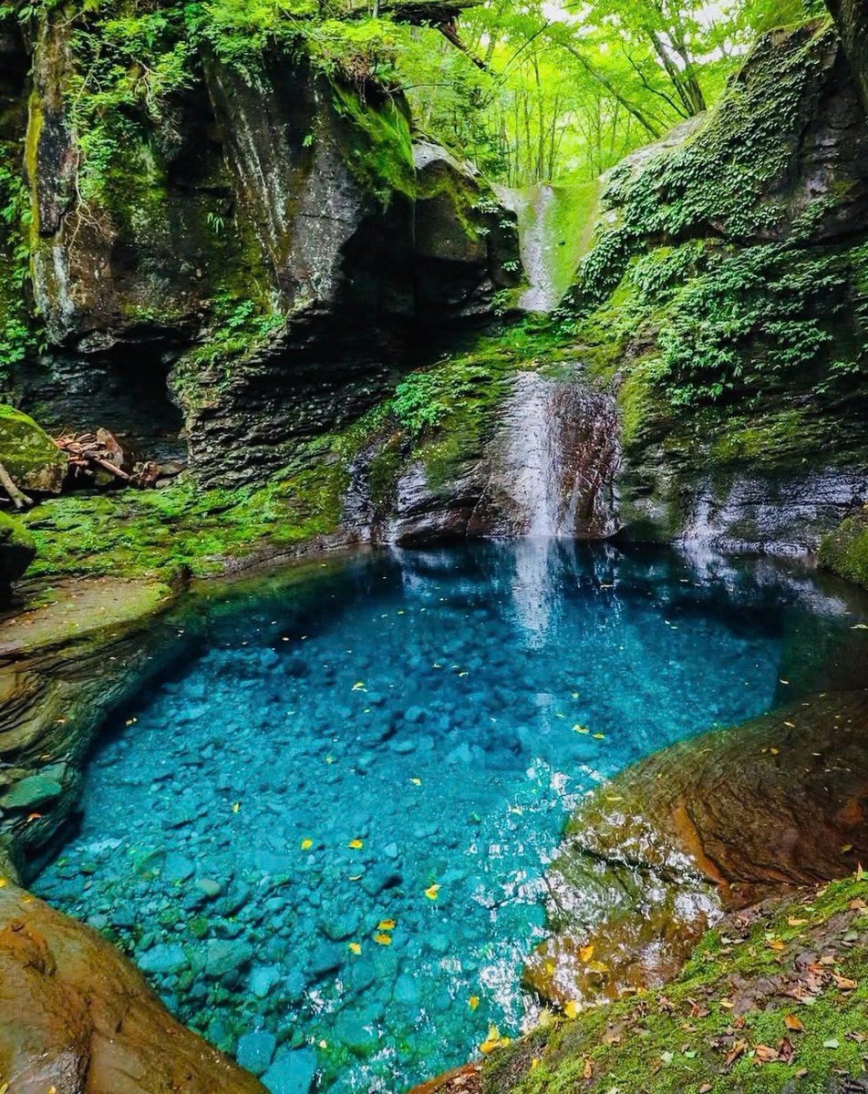 TourJapanTravel's tweet photo. 💎 **Niyodo Blue – Sắc xanh pha lê đẹp đến khó tin giữa lòng Nhật Bản.
🇯🇵 *仁淀ブルー ― 日本が誇る奇跡の透明な青。 https://t.co/rlYnW4uFAs