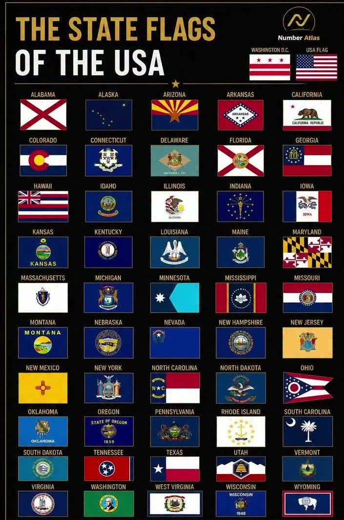 Geosophyy's tweet photo. The State Flags of The USA https://t.co/IQxgb4ibLb