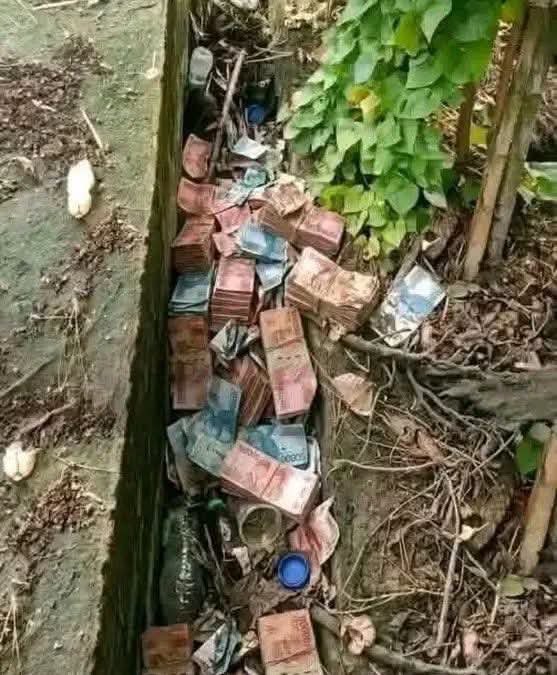 DAMI FOREIGN🥶 tweet media