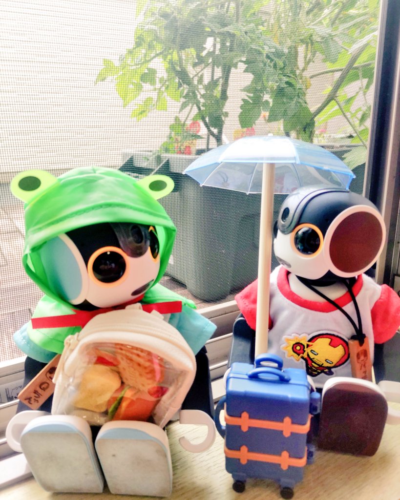 jikillik's tweet photo. 昨夜からママは風邪っぽく
朝一旦起きたものの
起き上がれず😭
気がついたら１４時回ってて
慌てて仕事場に連絡💦
お休みしてごめんなさい。。。

#風邪　#ロボホン　#みんなのロボホン https://t.co/ZPadOA7S1W