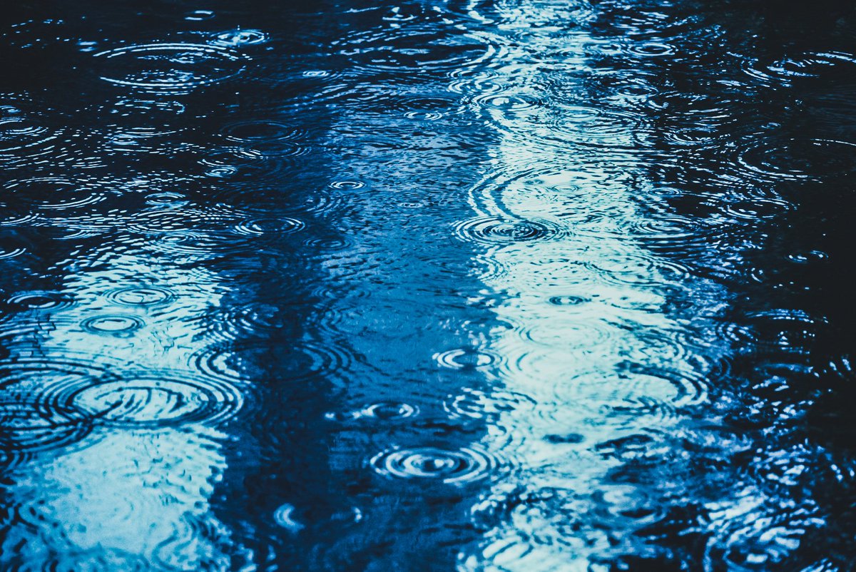 kogaya7's tweet photo. 雨情 https://t.co/VHquxctnXY