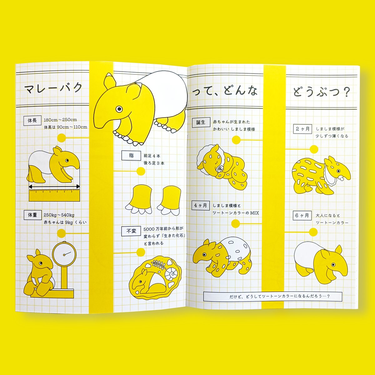 acotomo1's tweet photo. マレーバク大好きイラストレーターです。

「みんな、だいすき！マレーバク」という主語が大きめのZINEを7/19(日)・20(月・祝)東京・ビッグサイトで開催されるイベント｢博物ふぇすてぃばる！｣に向けて作成しておりましたが、無事完成しました！！
@hakubutufes

博物ふぇすで初お披露目です！ https://t.co/fzbNgo68dh