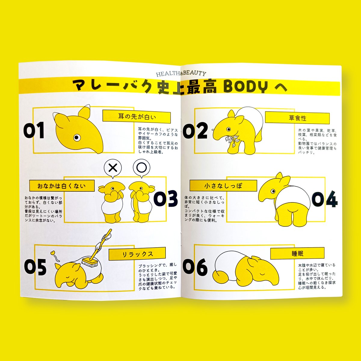 acotomo1's tweet photo. マレーバク大好きイラストレーターです。

「みんな、だいすき！マレーバク」という主語が大きめのZINEを7/19(日)・20(月・祝)東京・ビッグサイトで開催されるイベント｢博物ふぇすてぃばる！｣に向けて作成しておりましたが、無事完成しました！！
@hakubutufes

博物ふぇすで初お披露目です！ https://t.co/fzbNgo68dh