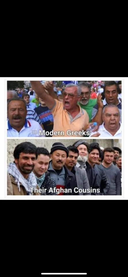 Erton3112's tweet photo. @LionOfMacedon @EpiriEtAlbaniae Make a DNA test, just to be informed where you belong..
Behold your cousins
👎👎👎 https://t.co/toz4s9kCYw