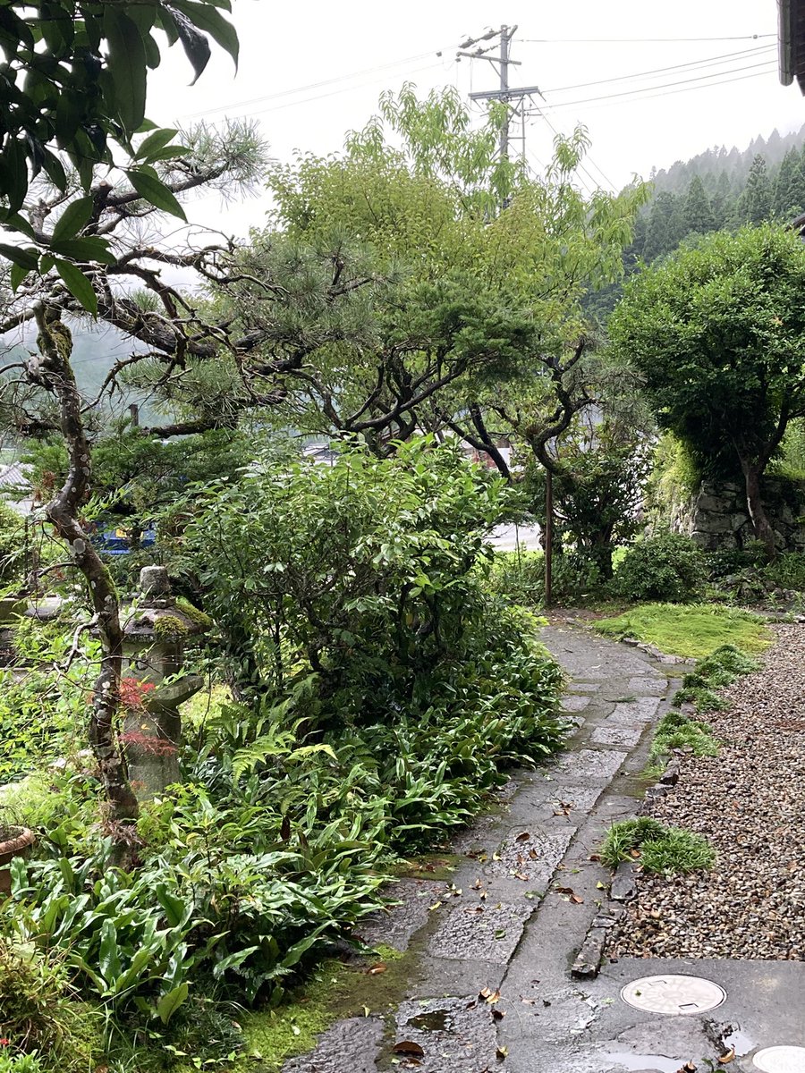 nattytomoe's tweet photo. 造園の仕事をしている男友達が、リニューアルのお祝いにと、雨の中、庭木の剪定をしてくれた。
こういうギフトは本当に嬉しいな☺️
庭がすっきりして、見通しも良くなった。
空間の氣が巡り、未来の見通しも明るくなった気がする。 https://t.co/TIJ0nKN7QM