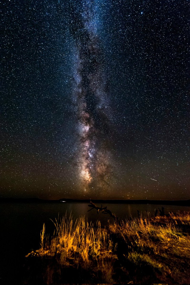 scienceacademyX's tweet photo. Starry Night Milky Way https://t.co/fsjDM7Xaeb