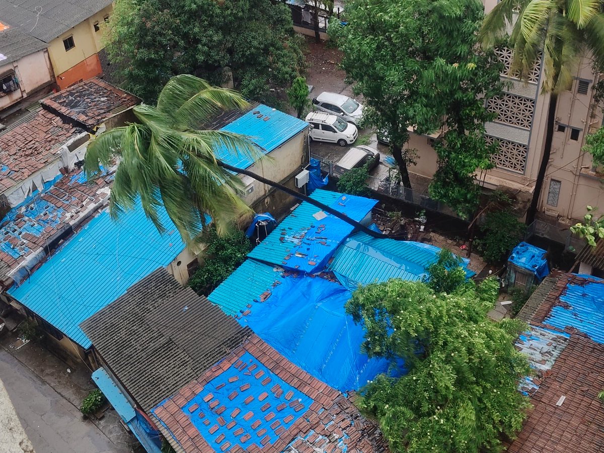 the19Intruder's tweet photo. @mybmcWardS 
Please take care of this tree falling to avoid harm to human life and property 
Location - opposite Shivdarshan sra, Bhandup West https://t.co/zPF9iFjlLs