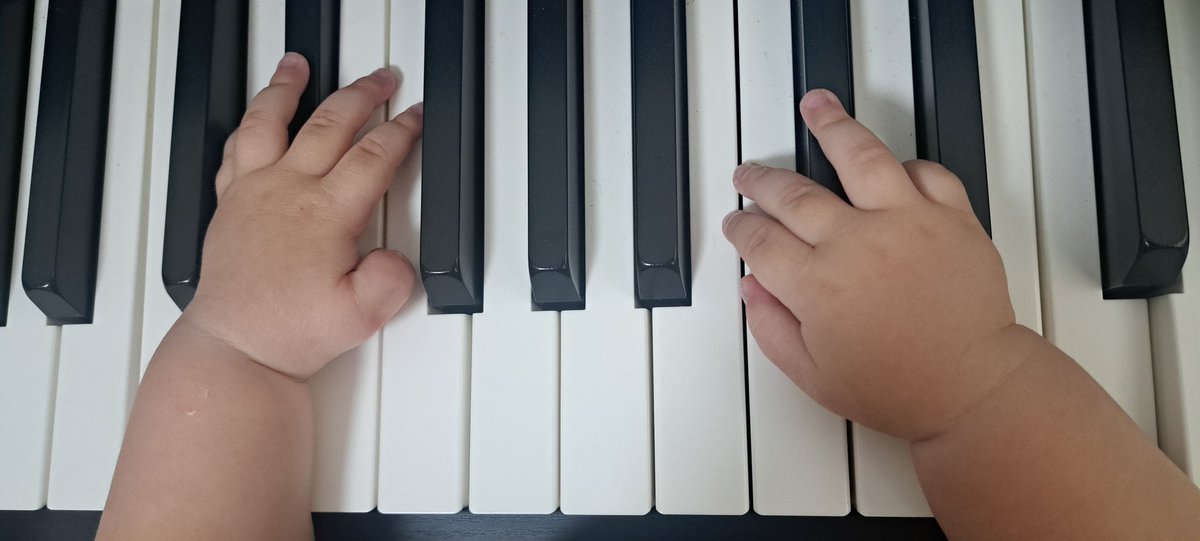 oooKRPMooo's tweet photo. 最近毎日ピアノしてる気がする♥︎⁡
高い音より低い音の方が嬉しいもよう🤭 https://t.co/AUCmFltcrC
