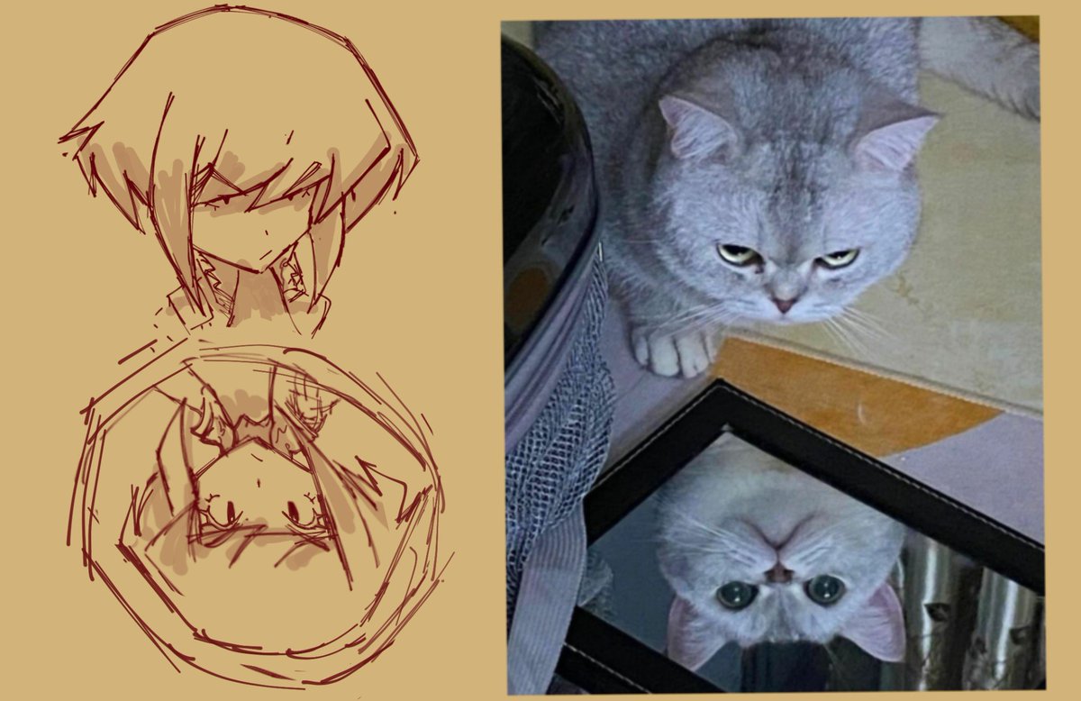 thefudanshi5's tweet photo. Dumb quick doodle, because i thought this cat pic was very Lio coded https://t.co/WHlHWUrEeM