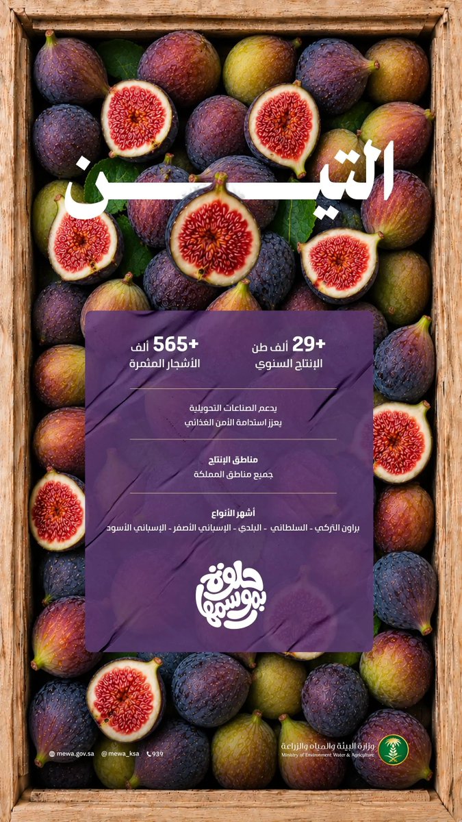 SPAeconomic's tweet photo. بـ 30 ألف طن من أجود الأصناف.. التين المحلي يُنعش أسواق المملكة.
https://t.co/uZjAG7q5EN
#واس https://t.co/whgo9AOiy6
