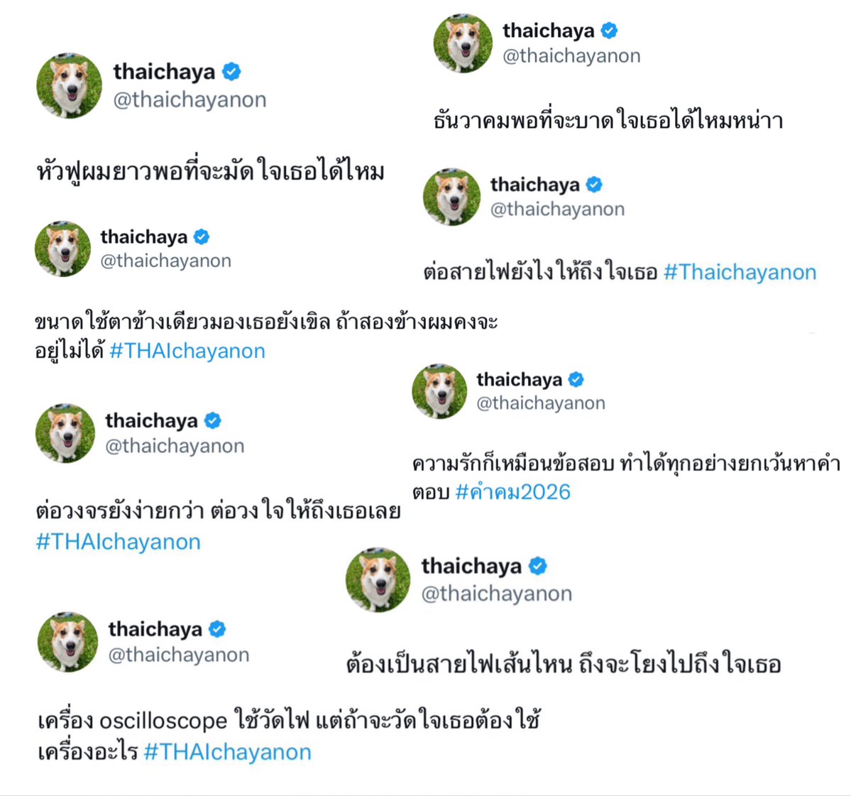 kh1ovele's tweet photo. เจอตัวแล้ว 😌 https://t.co/pqrf7Ehyh9