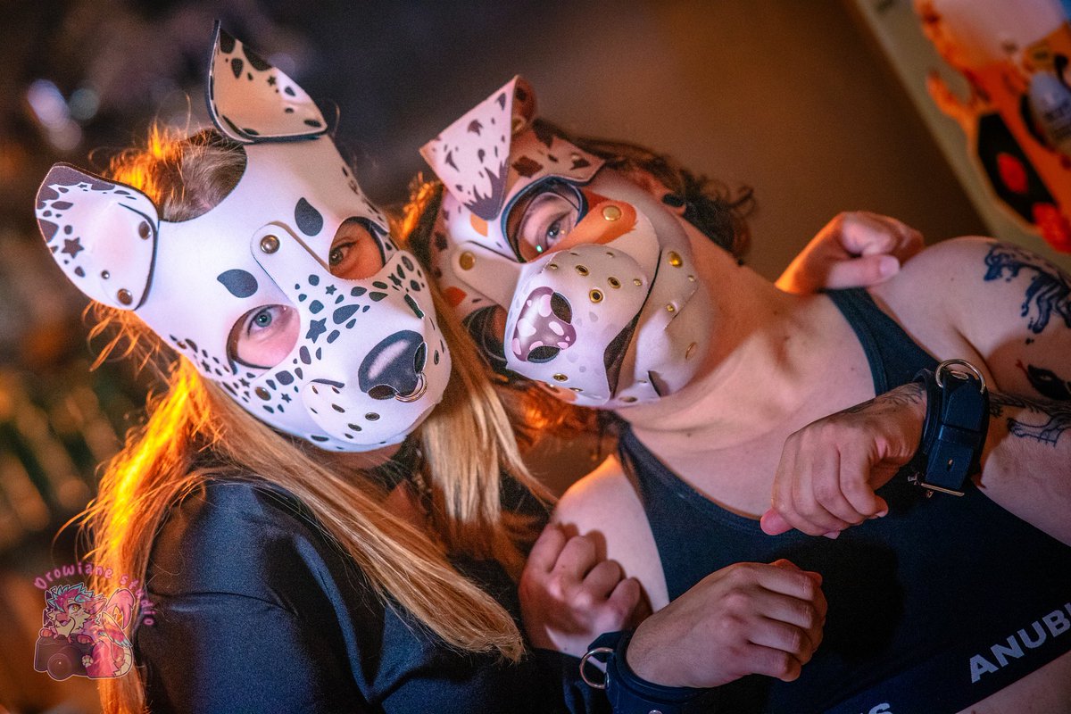 ad_drowi_ane's tweet photo. Mooh, they're so cute, it's puppy!

| 🐾 @arrow_pup | 🐾 @KosseDotDog | 
| Hood 🧵 @GrungeBunnyGear | 
| Event 🎉 @MkMontpellier |

#puppy https://t.co/AchcsmawMR
