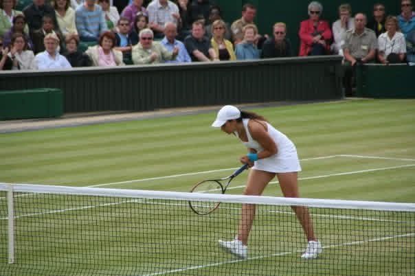 JasonBerns's tweet photo. @bartoli_marion https://t.co/Bm93yqpRAN