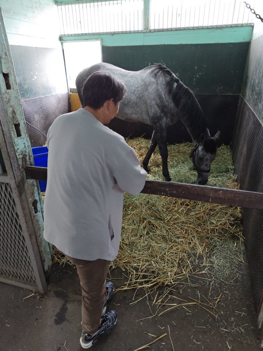 inUNiwPgUtjItTn's tweet photo. 怪獣に会ってきました
今年は51頭に種付けしたそうです https://t.co/bq6qkw5l1r
