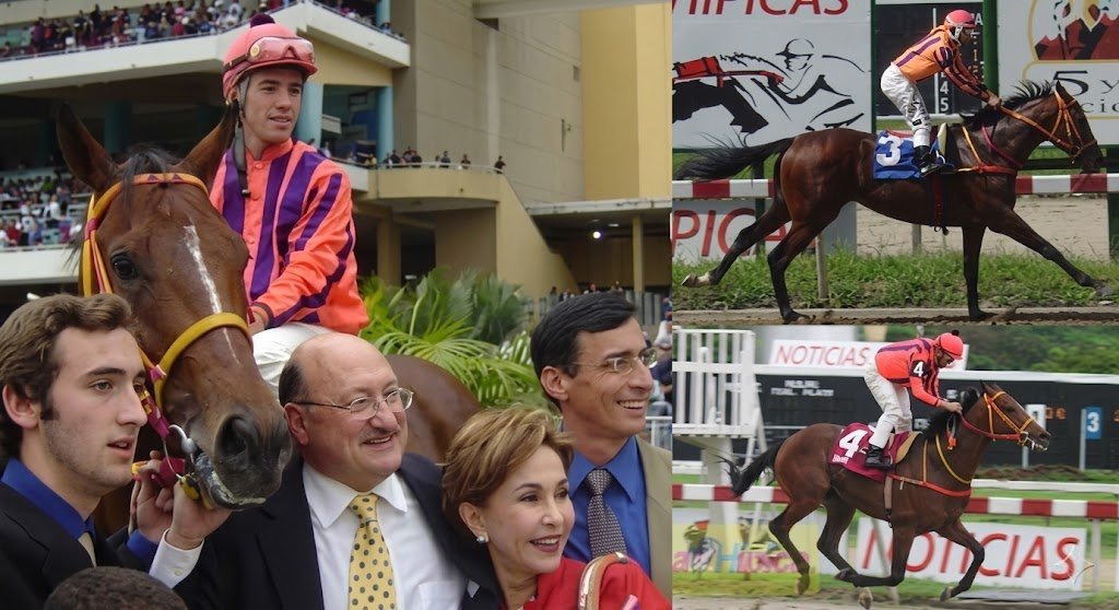 blindadosalas1's tweet photo. #Hipismo #InMemoriam El 30/03/2001 falleció SIBARITA 🇻🇪 mientras cumplía faena como padrillo en #HarasGranDerby Campeón de 3 años y Caballo del Año (2004) #SimónBolívar #Unicría #JoséMVargas #Presidencial #JockeyClubVe Último gran purasangre entrenado por DANIEL PÉREZ. https://t.co/OknClEKCzq