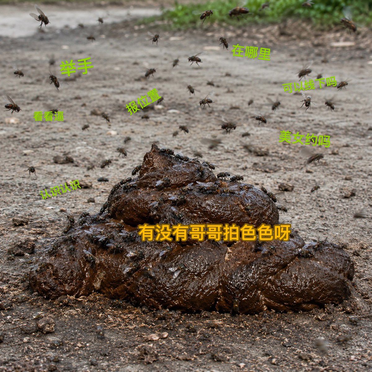 twentyone199799's tweet photo. 推特现状 https://t.co/jdbk1Utigf