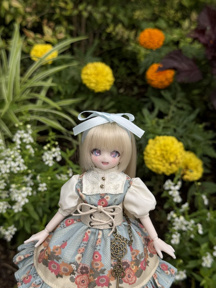 yuni_far's tweet photo. #うちのこかわいい 
#見た人はお花と写ったドール写真をアップする https://t.co/kMkWtW9Cmd